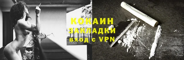 дживик Алзамай