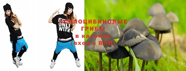 прущие грибы Алексеевка