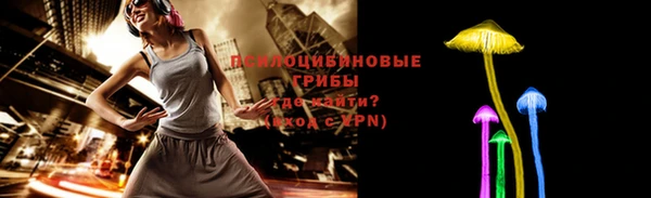 прущие грибы Алексеевка