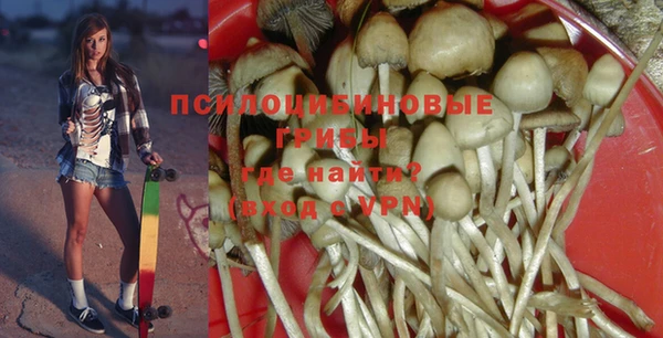 прущие грибы Алексеевка