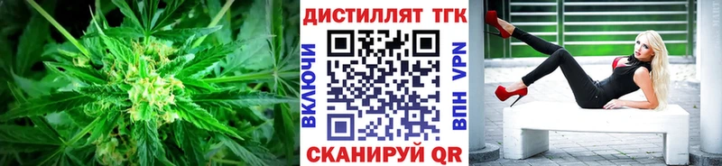 купить   Багратионовск  Дистиллят ТГК THC oil 